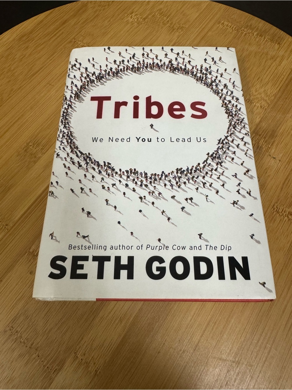 Tribes We Need You to Lead Us Seth Godin Hardcover Leadership Business Book